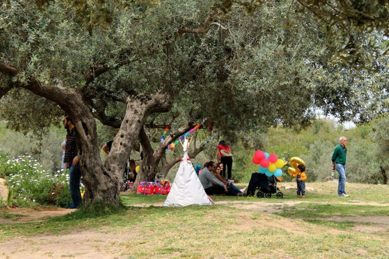 Comment réussir un anniversaire en plein air