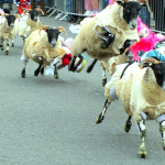 Découvrez nos conseils pratiques pour contourner la corvée du mouton sans stresser ! Des solutions simples et efficaces sur Binetna.