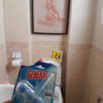 produit WC propre, bloc cuvette