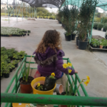 pépinière, enfant , plantes