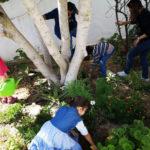 Jardinage, enfant, printemps